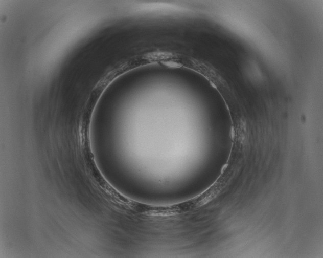 X0000070190763200605261157