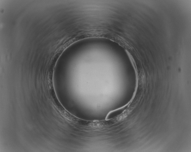 X0000070190764200605261157