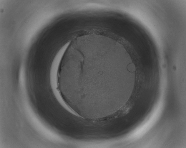 X0000070190765200605261157