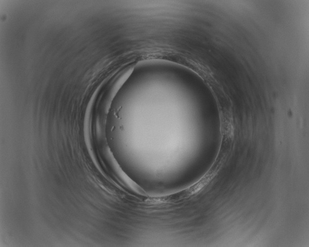 X0000070190766200605261157