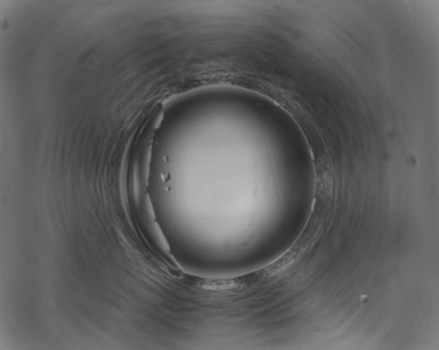 X0000070190767200605261157