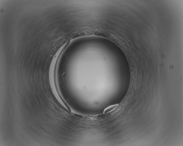 X0000070190768200605261157