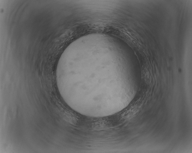 X0000070190769200605261157