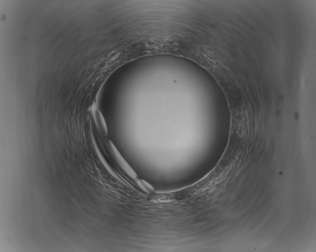 X0000070190770200605261157