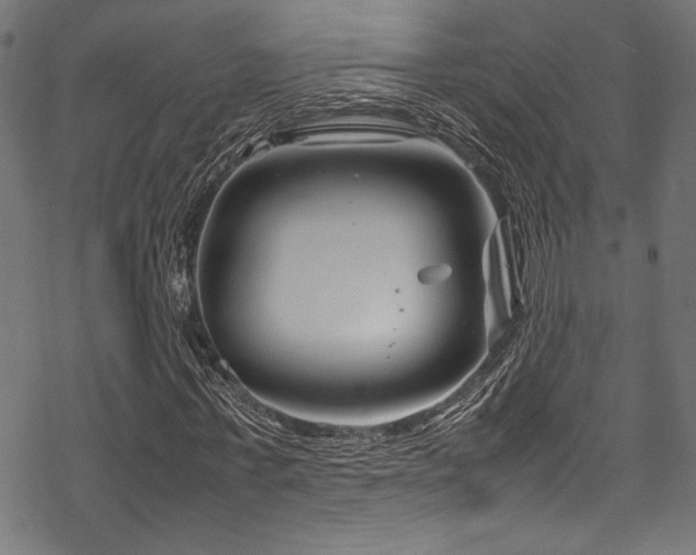 X0000070190771200605261157