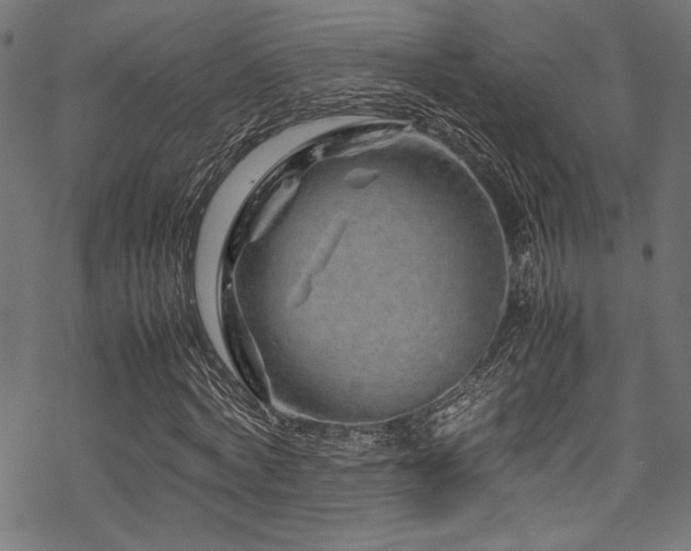 X0000070190772200605261157