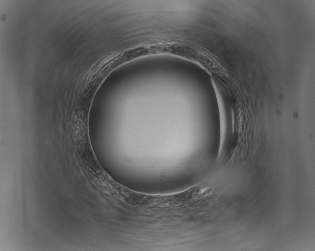 X0000070190773200605261156