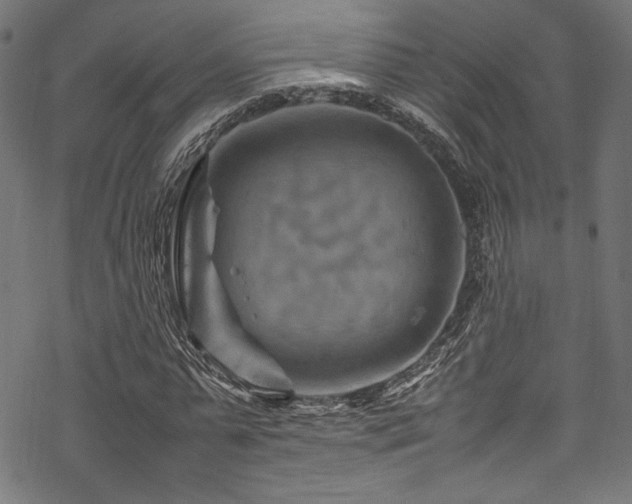 X0000070190775200605261156