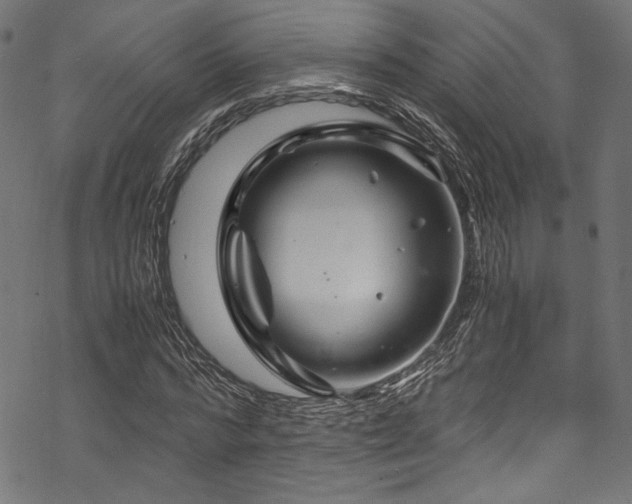 X0000070190776200605261156