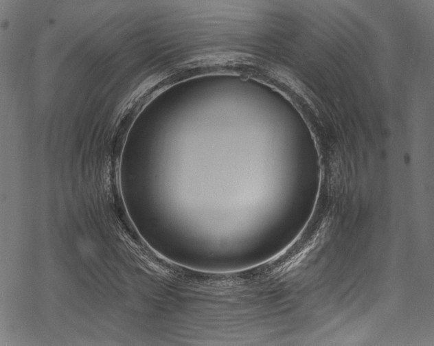 X0000070190778200605261156