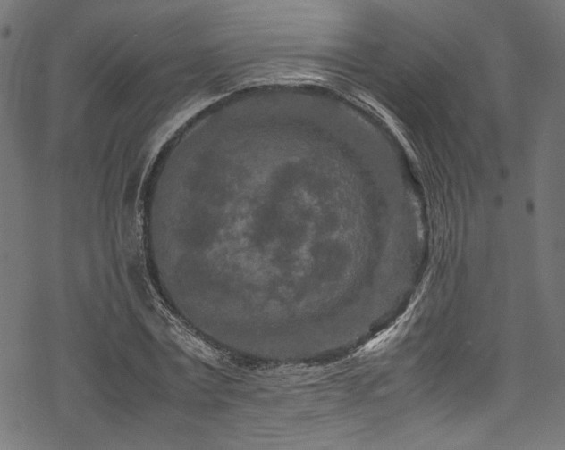 X0000070190779200605261156