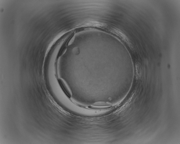 X0000070190780200605261156