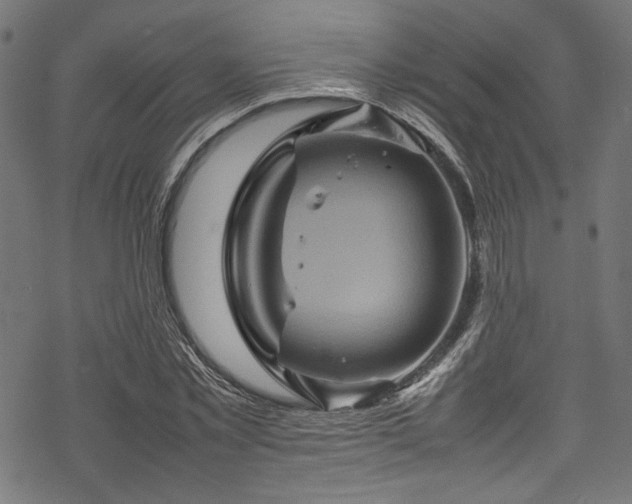 X0000070190781200605261156