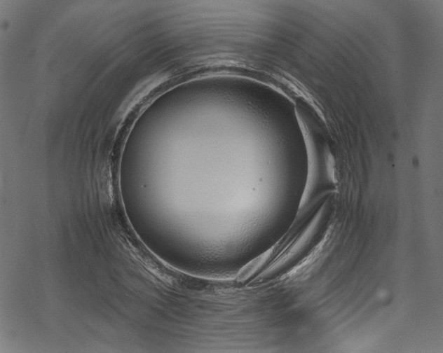 X0000070190782200605261156