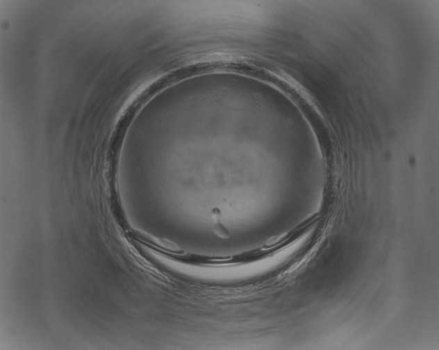 X0000070190783200605261156