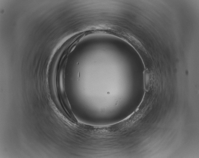 X0000070190784200605261156