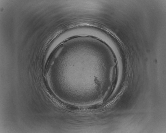 X0000070190785200605261156