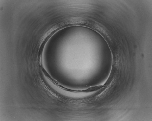 X0000070190786200605261156