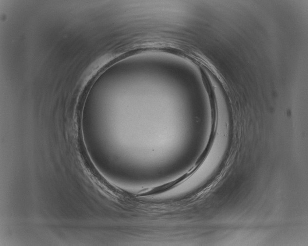 X0000070190787200605261156