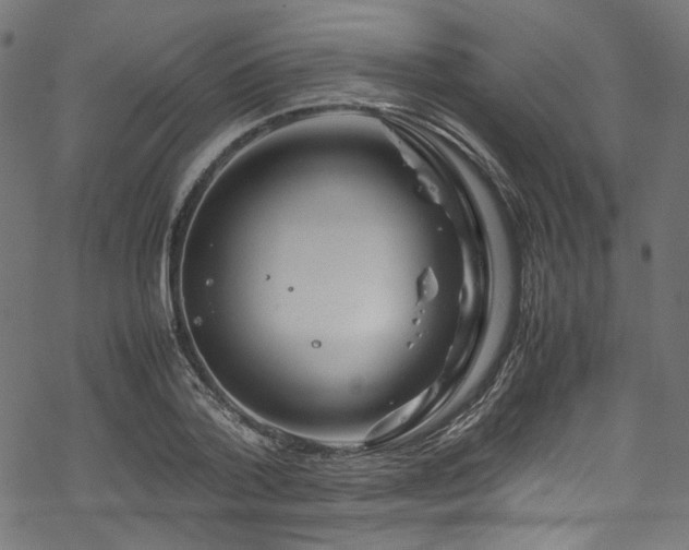 X0000070190788200605261156