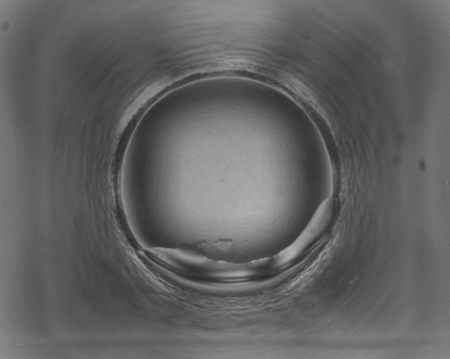 X0000070190789200605261156