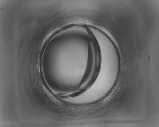 X0000070190791200605261156