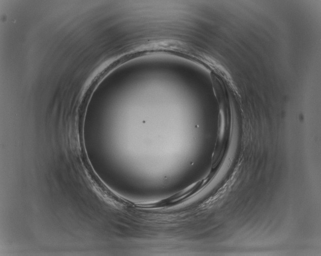 X0000070190792200605261156