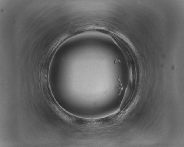 X0000070190793200605261156