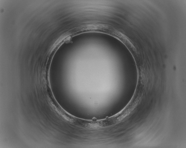 X0000070190794200605261156