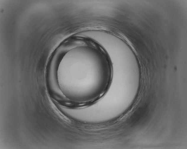 X0000070190795200605261156