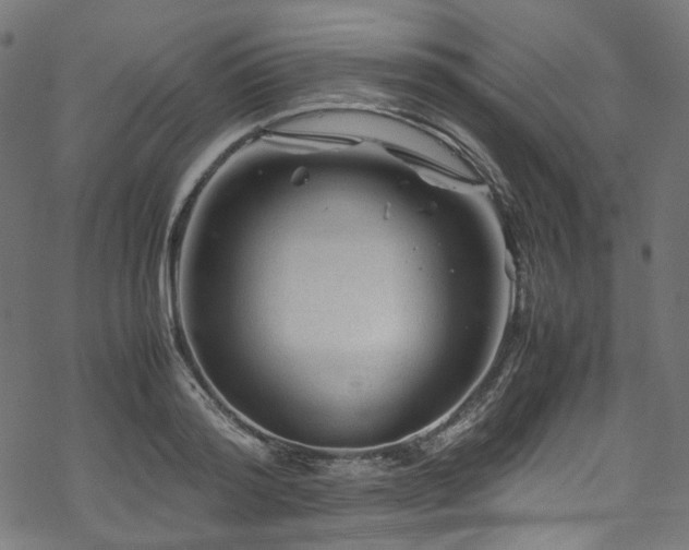 X0000070190796200605261156