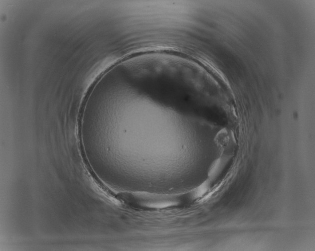 X0000070190797200605261156