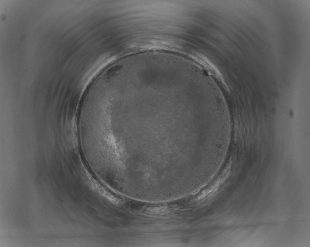 X0000070190798200605261156