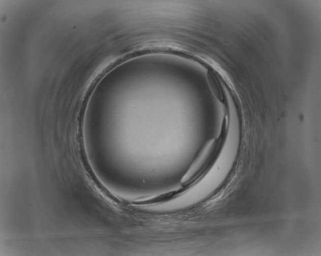 X0000070190799200605261156