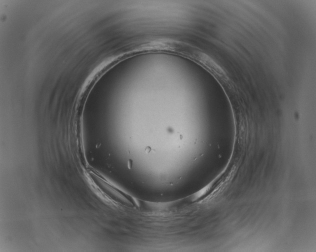 X0000070190800200605261156