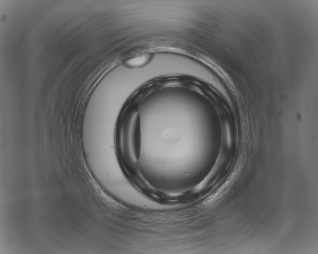 X0000070190801200605261156