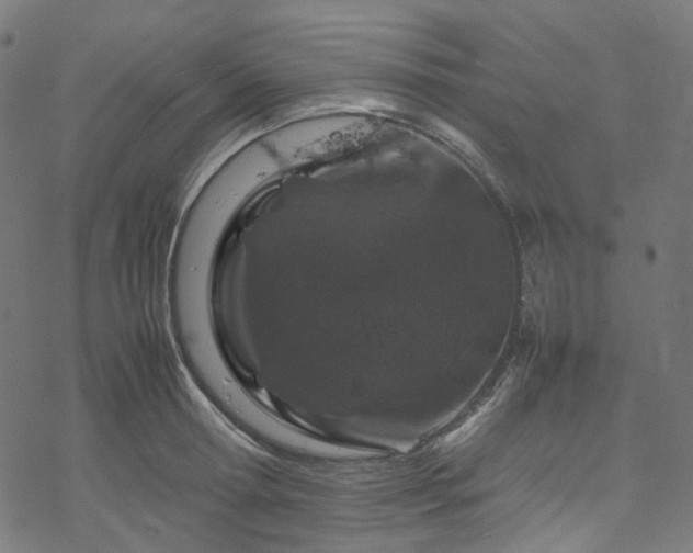 X0000070190802200605261156