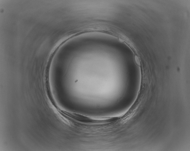 X0000070190803200605261156