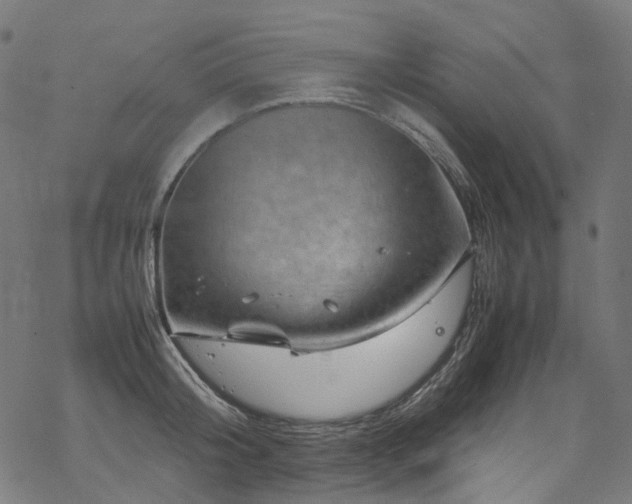 X0000070190804200605261156