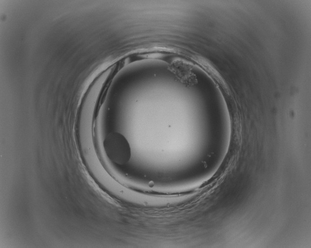 X0000070190805200605261156