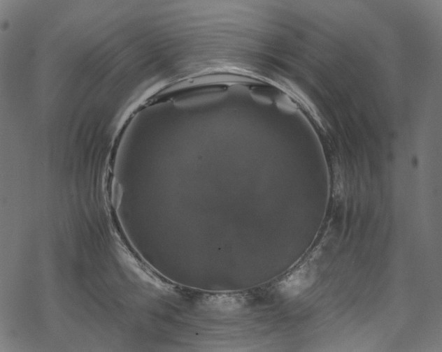 X0000070190806200605261156