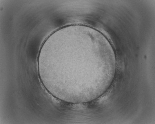 X0000070190807200605261156