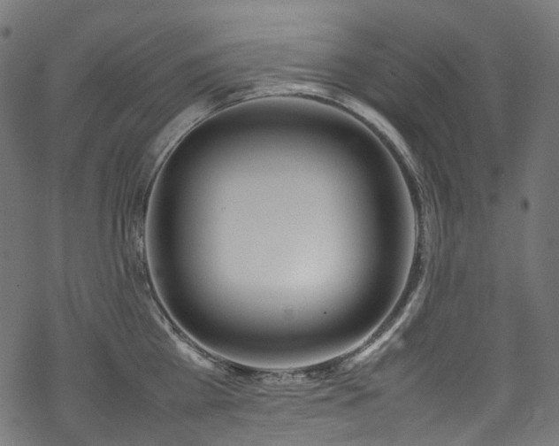 X0000070190809200605261156