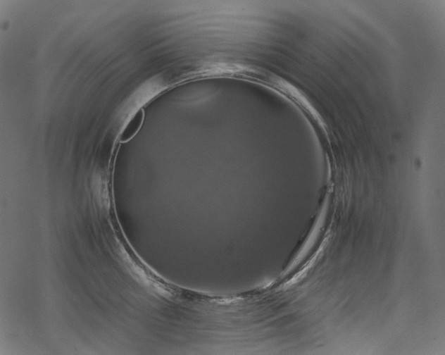 X0000070190810200605261156