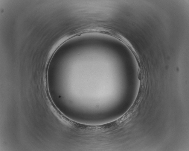 X0000070190811200605261156