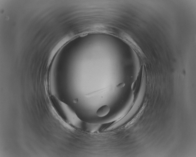 X0000070190812200605261156