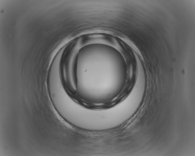 X0000070190813200605261156