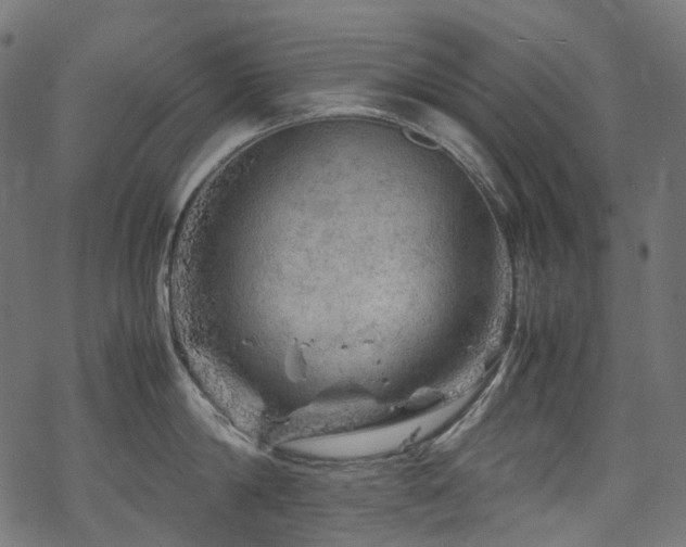 X0000070190814200605261156