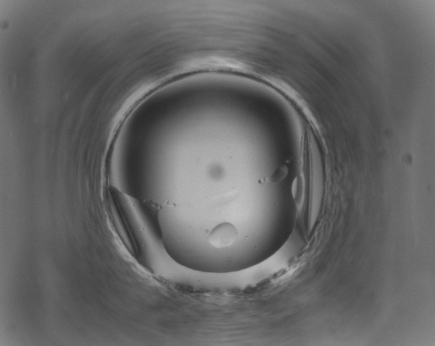 X0000070190815200605261156