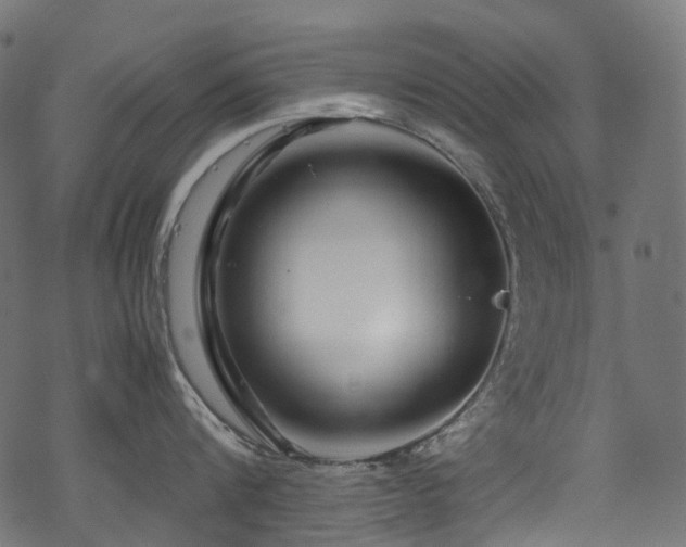 X0000070190816200605261156